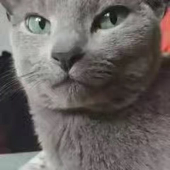 Meet your Posher, Marina - Picture 1 of 1